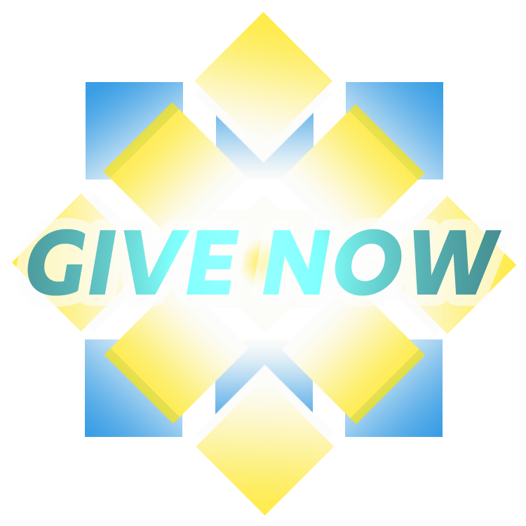 Give now button